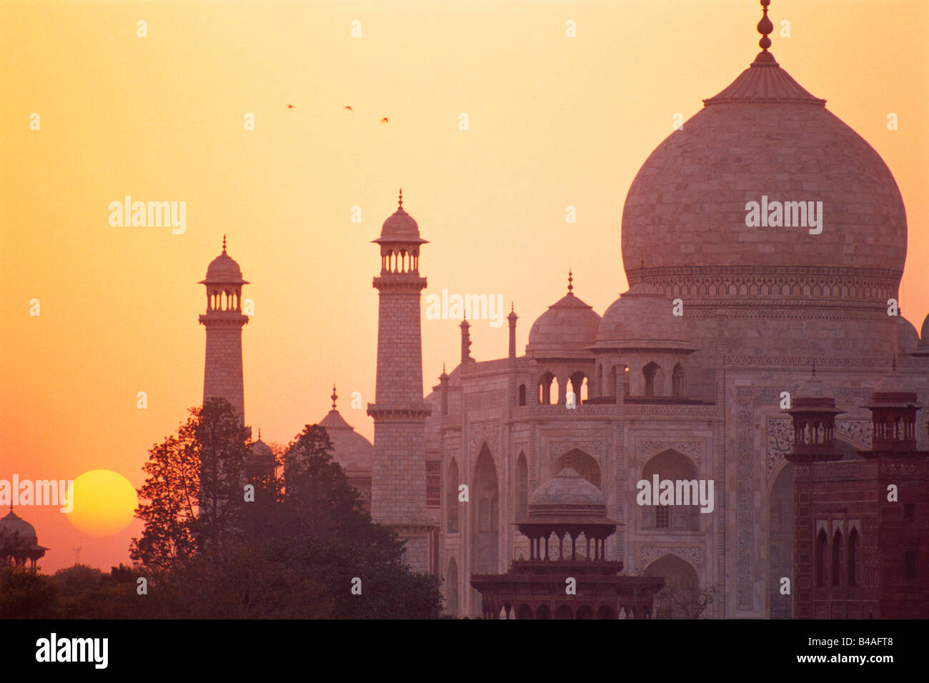 India, Agra il Taj Mahal, Tramonto Foto Stock