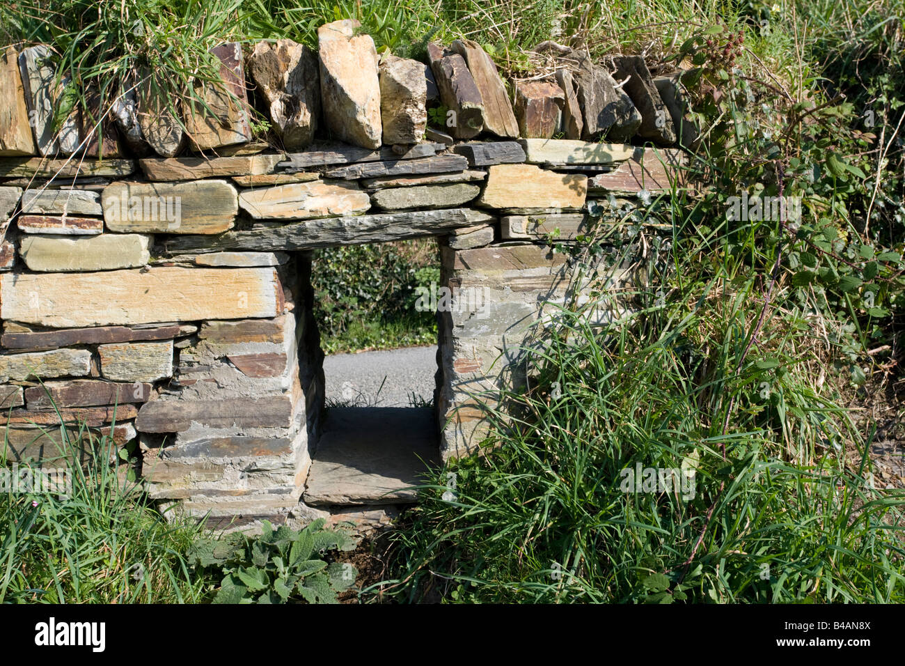 Badger access left nella parete Tintagel North Cornwall Coast UK Foto Stock