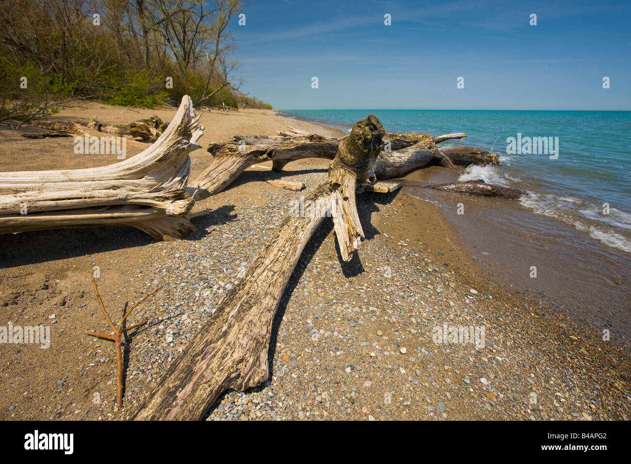 Rive del Lago Erie al punto Pelée National Park, Leamington, Ontario, Canada. Foto Stock