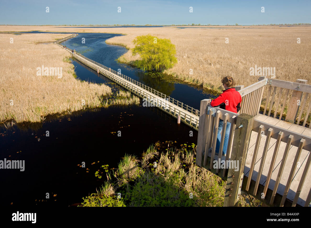 Torre presso la palude Boardwalk in punto La Pelée, il Parco Nazionale del Lago Erie, Leamington, Ontario, Canada. Modello rilasciato. Foto Stock