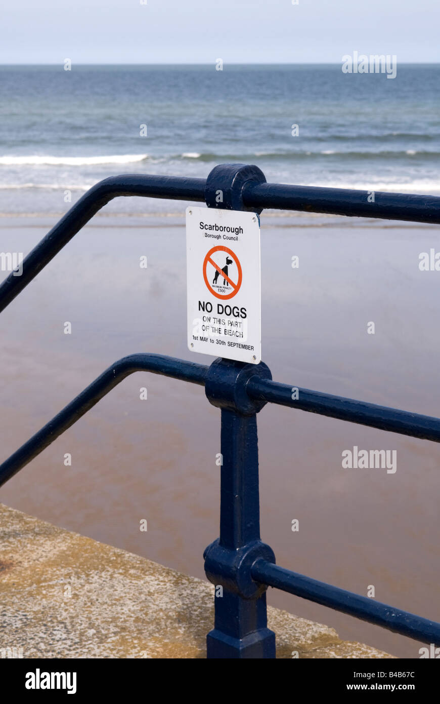 Segno escursionisti di avvertimento che i cani non sono ammessi sulla spiaggia Filey East Yorkshire Inghilterra Foto Stock