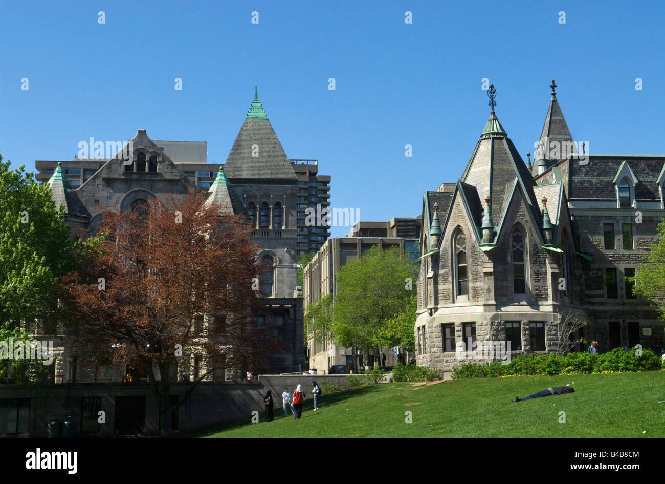 Presso la McGill University nel centro di Montreal, Canada Foto Stock