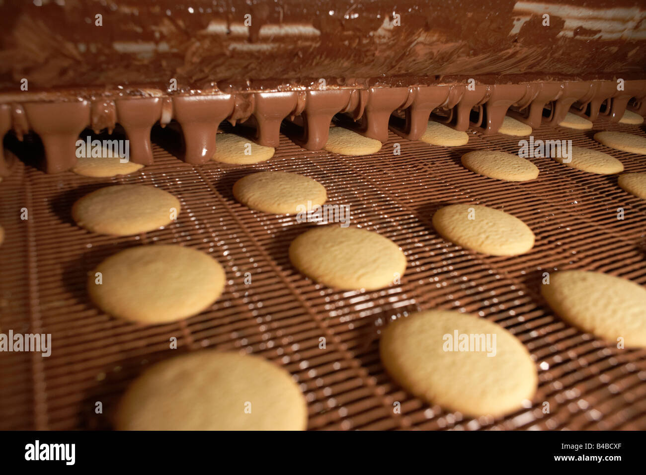 Gocce di cioccolato su appena fatta moments biscotti sul nastro trasportatore in corrispondenza della Delacre biscotto fabbrica di produzione in Lambermont Foto Stock