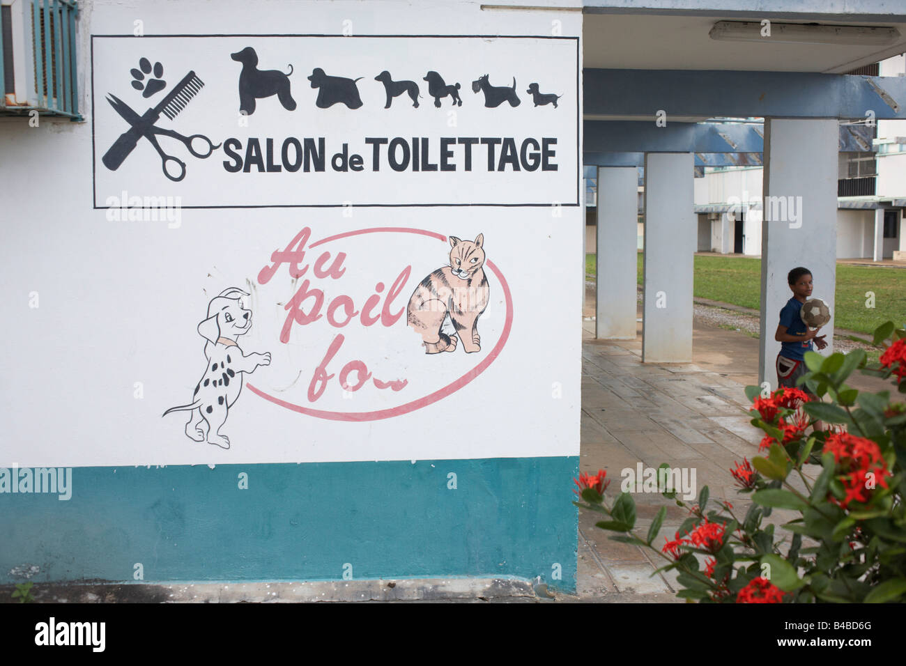 Parete dispari annuncio pubblicitario per il pet toelettatura e parrucchiere impoverita nel nuovo quartiere di Kourou coloniale in Guiana francese Foto Stock