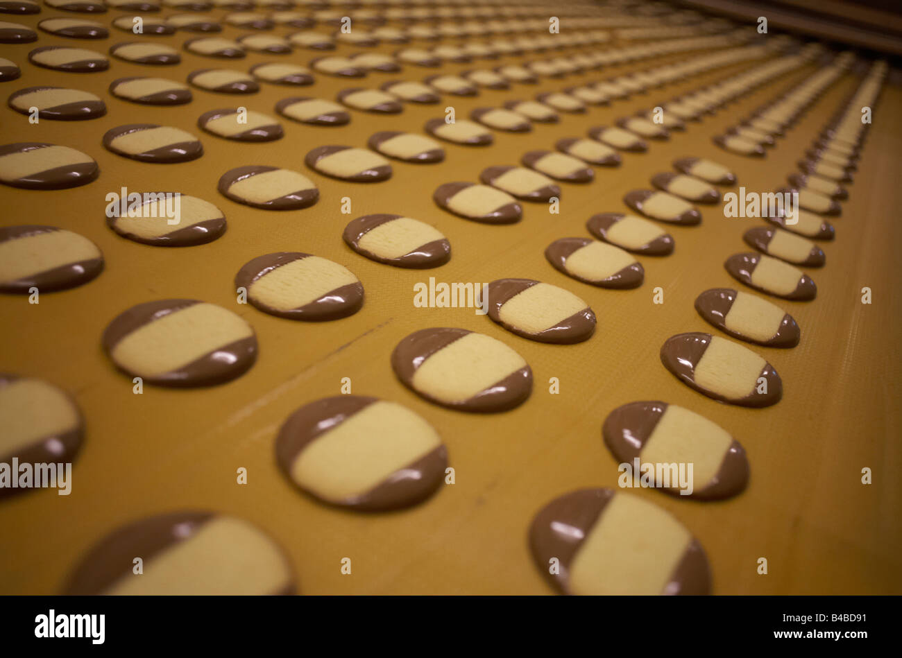 Righe di fresco-cioccolato fatto moments biscotti sul nastro trasportatore in corrispondenza della Delacre fabbrica di produzione in Lambermont Belgio Foto Stock