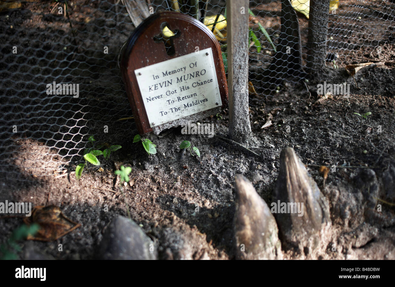 Realizzare localmente un santuario per morto un turista che amava le Maldive e la cui famiglia ha lasciato una targa commemorativa sulla Naifaru Island Foto Stock