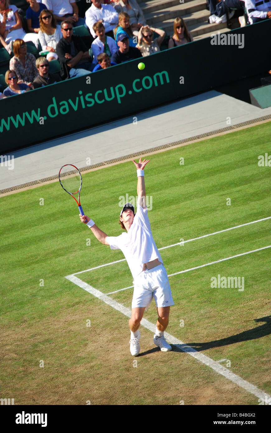 Andy Murray serving, Coppa Davis match, Gran Bretagna vs Austria, Wimbledon Lawn Tennis Club, Borough of Merton, Grande Londra, Inghilterra, Regno Unito Foto Stock