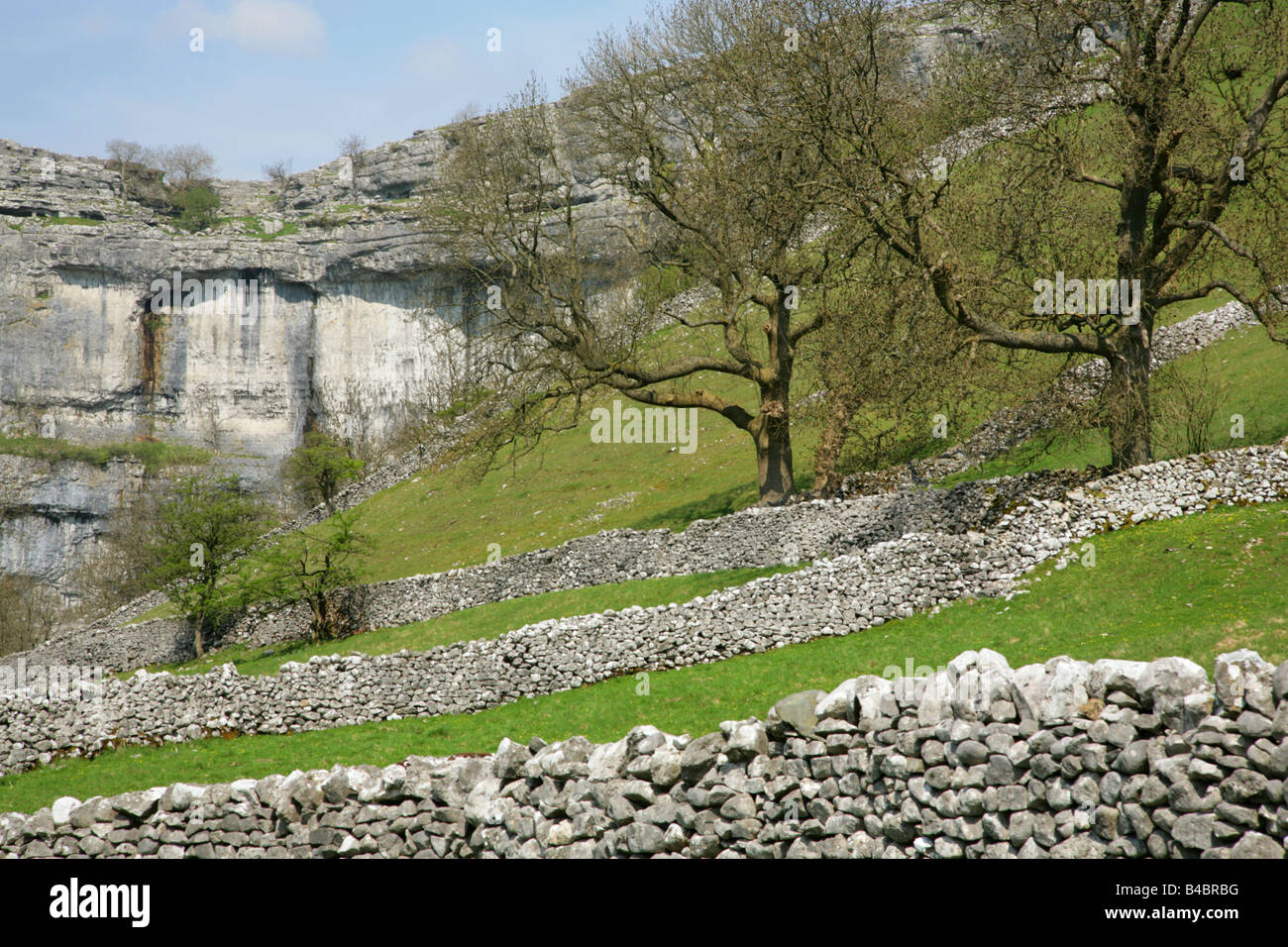 Malham Cove e muri in pietra a secco in primavera, Yorkshire Dales National Park, Inghilterra. Foto Stock