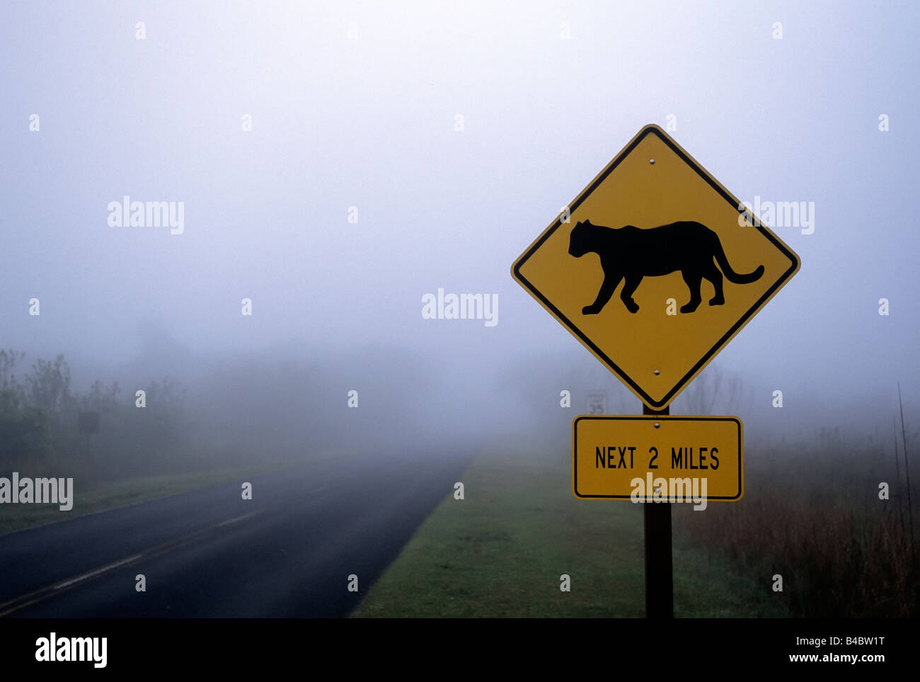 Florida panther cartello stradale in Everglades Foto Stock