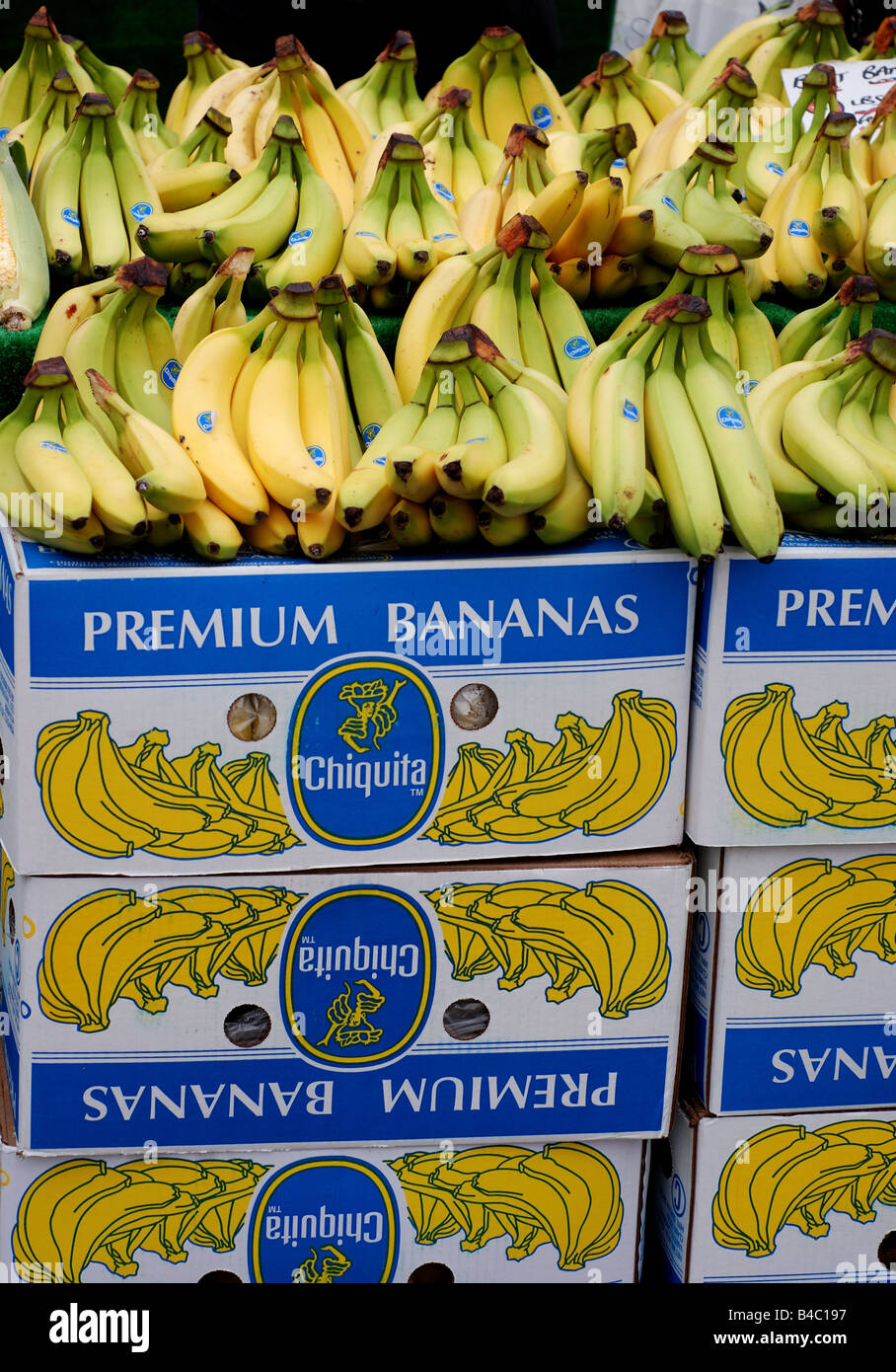 Le banane in vendita sul mercato britannico di stallo Foto Stock