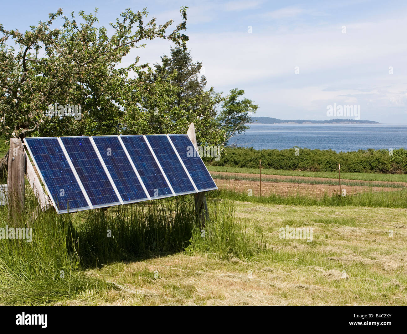 Un insieme di pannelli solari si trova su un isola di fornire una fonte di energia rinnovabile. Foto Stock