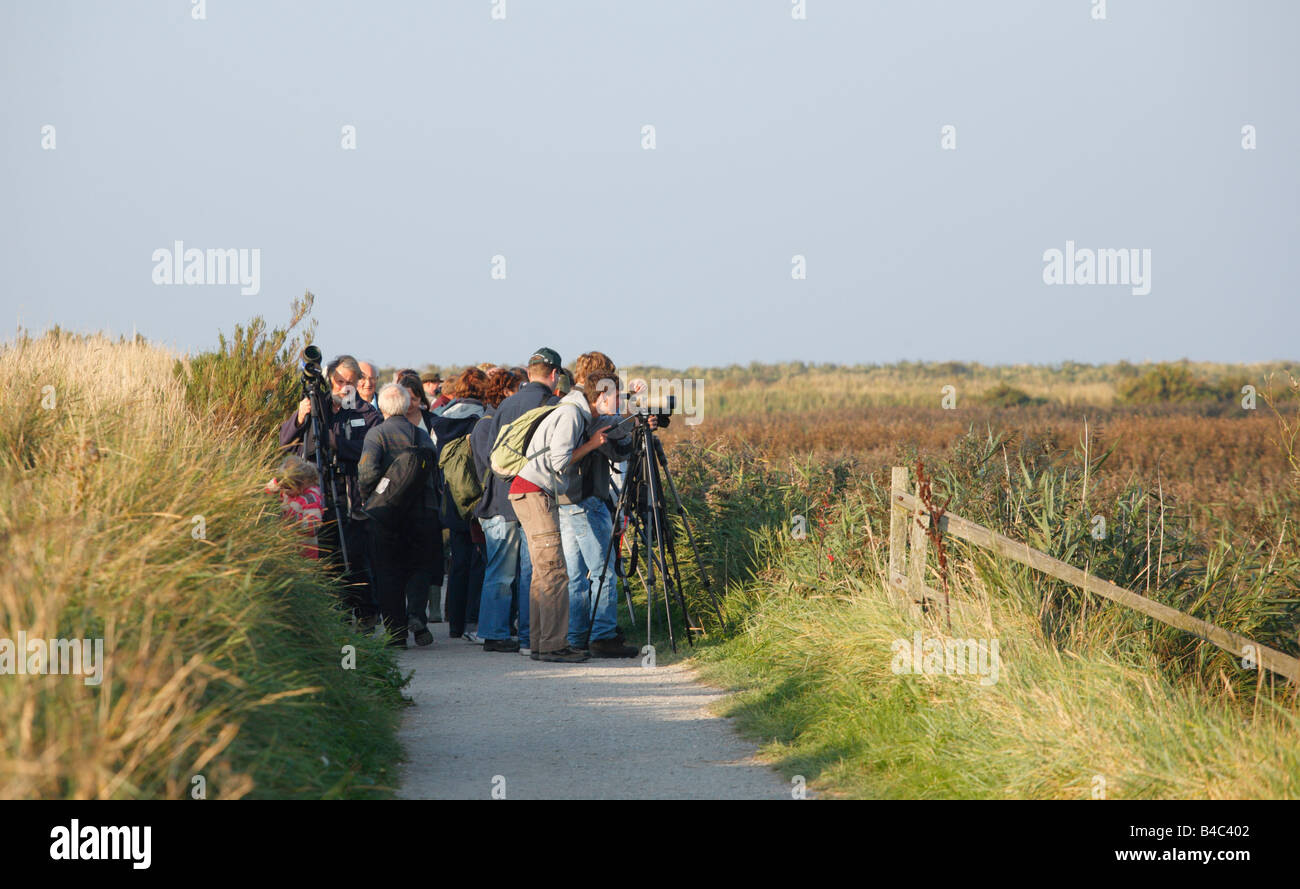 Gli amanti del birdwatching a Titchwell Marsh riserva naturale sulla costa di Norfolk. Foto Stock