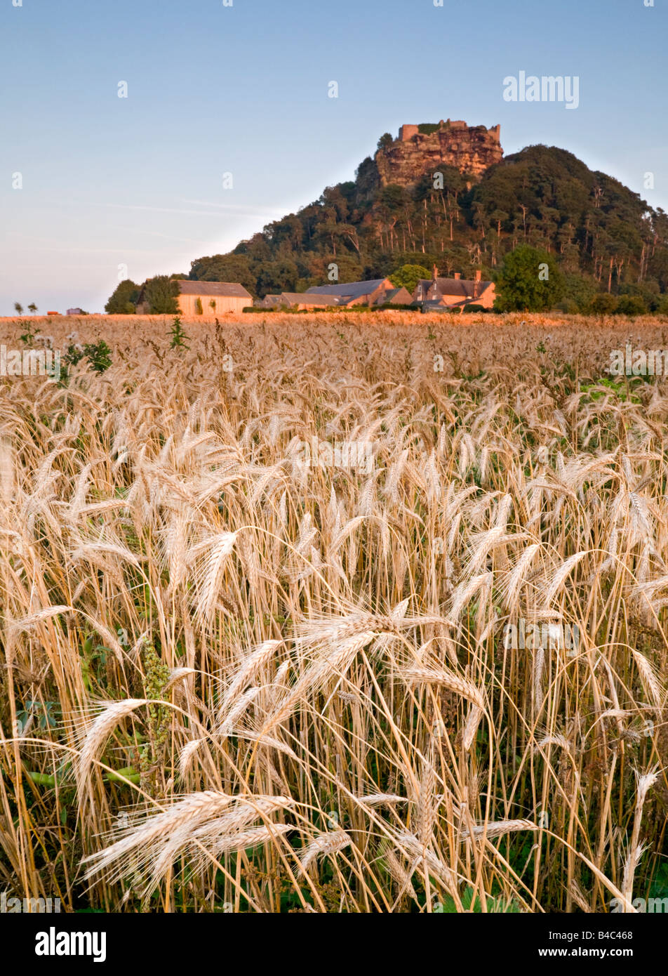 Ultima luce sul campo di grano e la Home Farm sotto il castello di Beeston, Beeston, Cheshire, Inghilterra, Regno Unito Foto Stock
