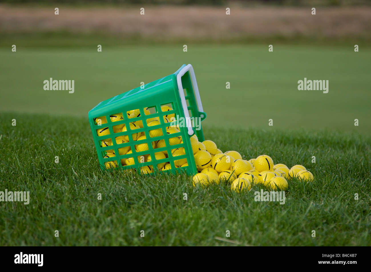 Cesto di fuoriuscite di palline da golf pronta per la pratica Foto Stock