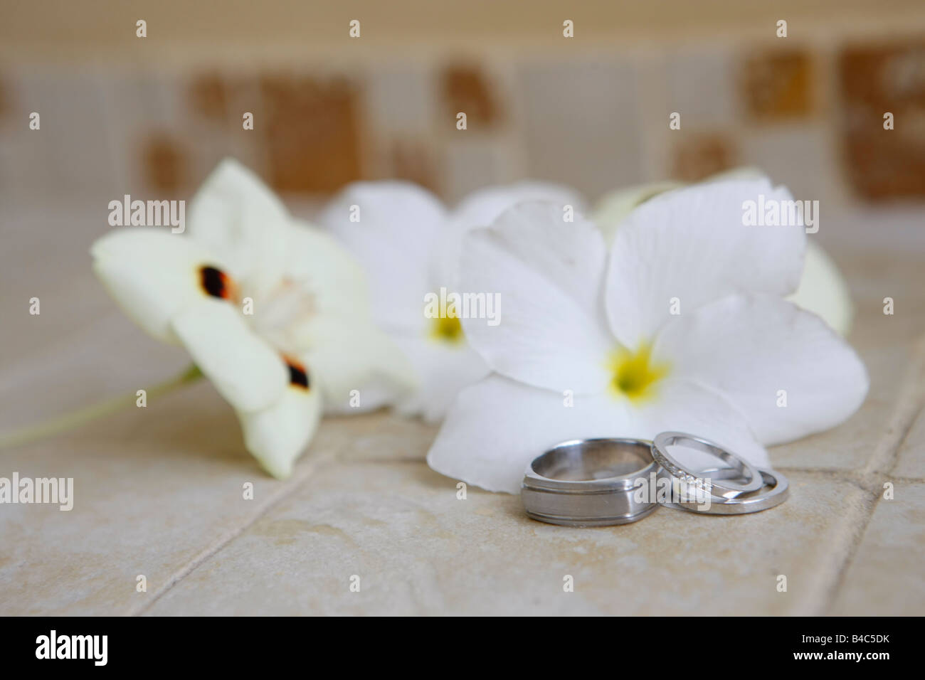 Argento Diamanti anelli di nozze con fiori Foto Stock