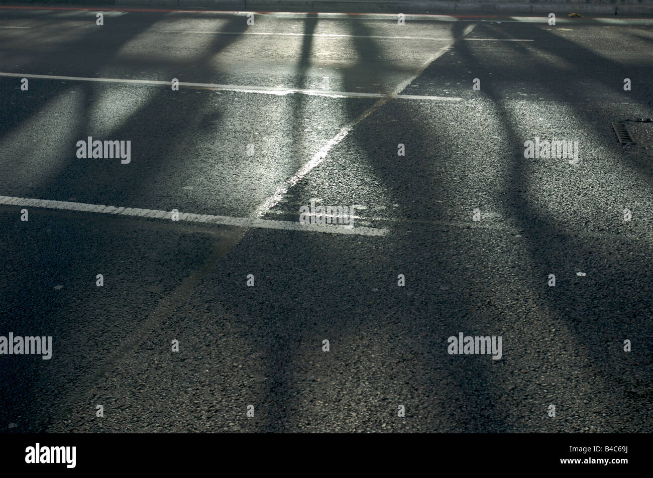 Sole di mezzogiorno inondazioni attraverso un vuoto road nel centro di Londra l'ombra degli alberi. Foto Stock