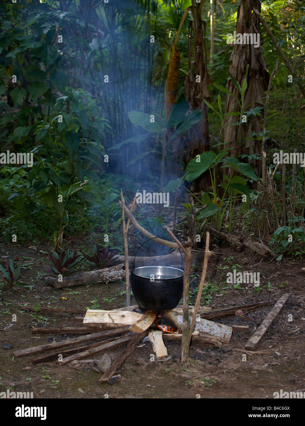 Cucina erbe per uomo medicina, Amazon Rain Forest Foto stock - Alamy