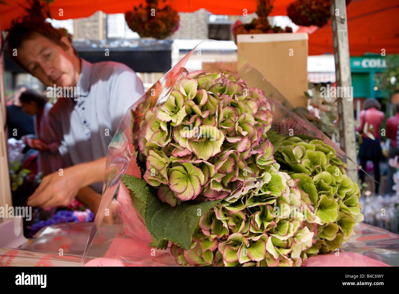 Colombia Rd il mercato dei fiori Foto Stock