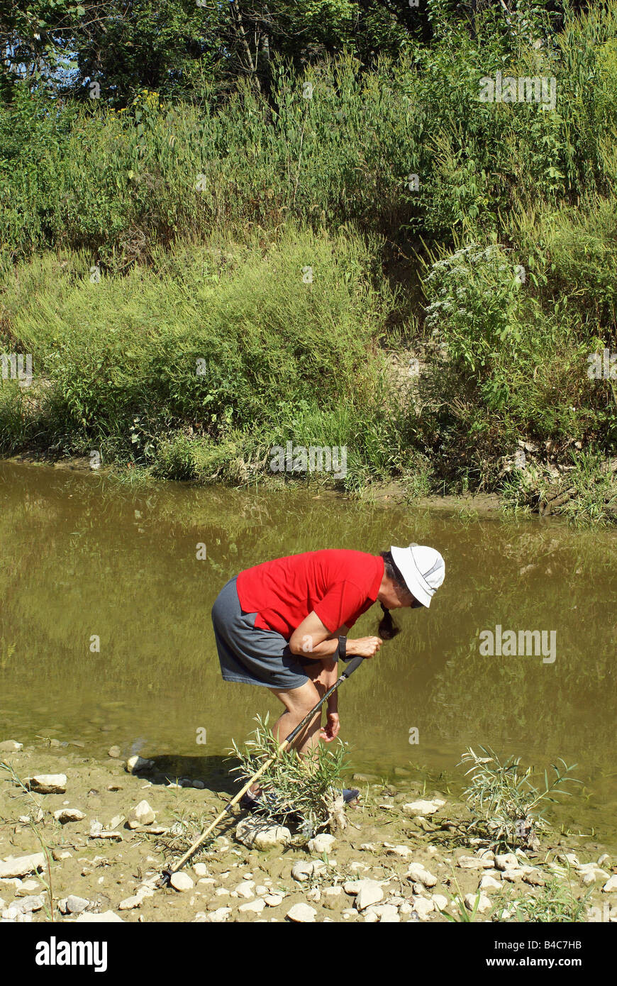 Alla ricerca di forme di vita acquatica Foto Stock