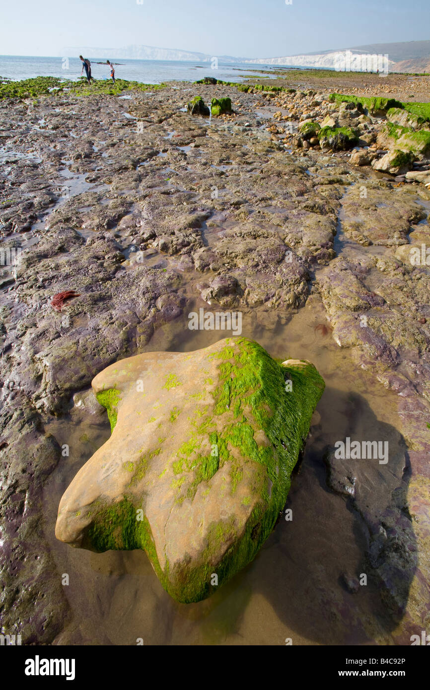 Compton,Bay,Iguanodon,footprint,cast,fossile,fossili,letti di Wealden,Geologia,paleontologia,sedimentaria,erosione,Isola di Wight,Inghilterra,UK,125,milioni, Foto Stock