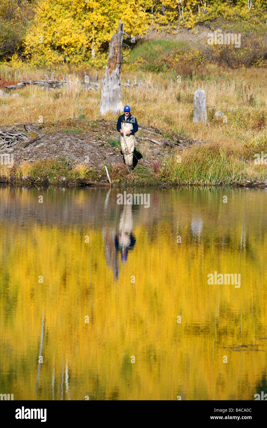 Un uomo di Pesca a Mosca Report di Pesca alla trota di fiume in caduta su un lago di alta montagna in Colorado Foto Stock