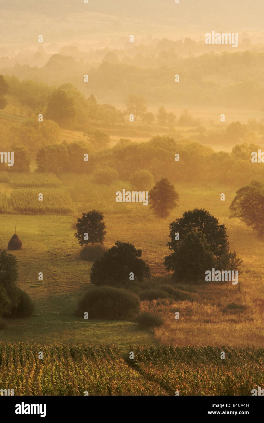 Campagna vicino a Curtea de Arges, Valacchia, Romania Foto Stock