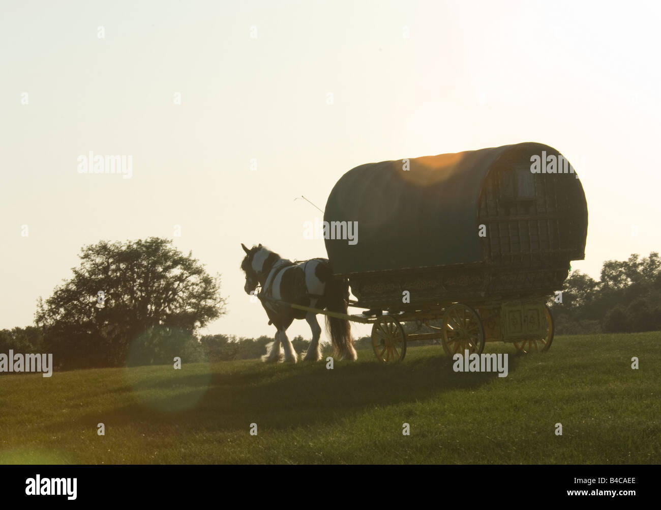 Gypsy Caravan o di vivere carro tirato da Gypsy Vanner cavallo Foto Stock