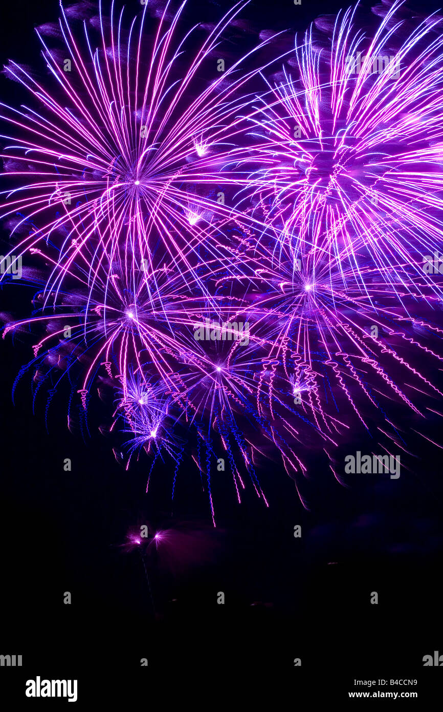 Viola i fuochi d'artificio in un cielo scuro Foto Stock