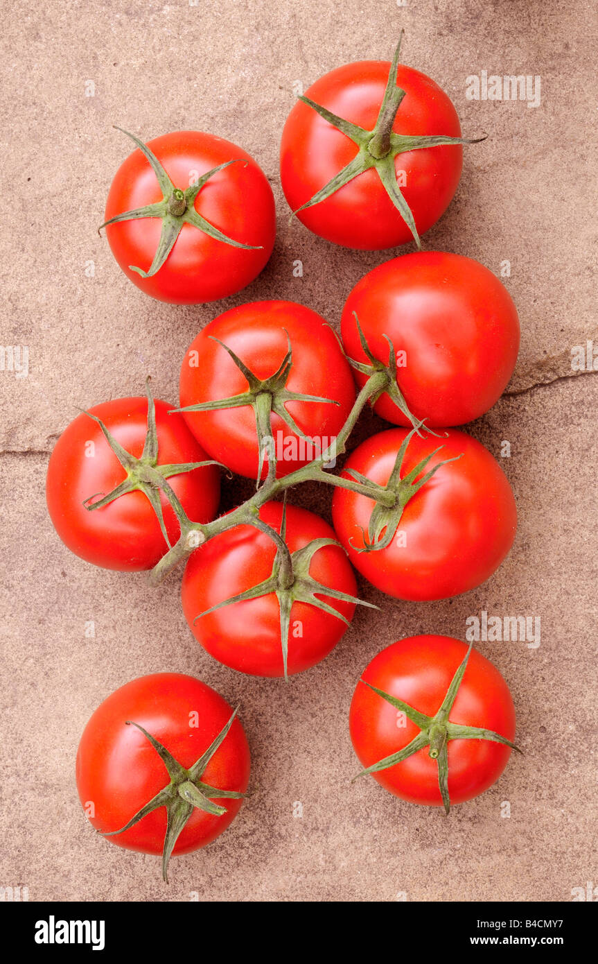 Vite di pomodori maturi Foto Stock