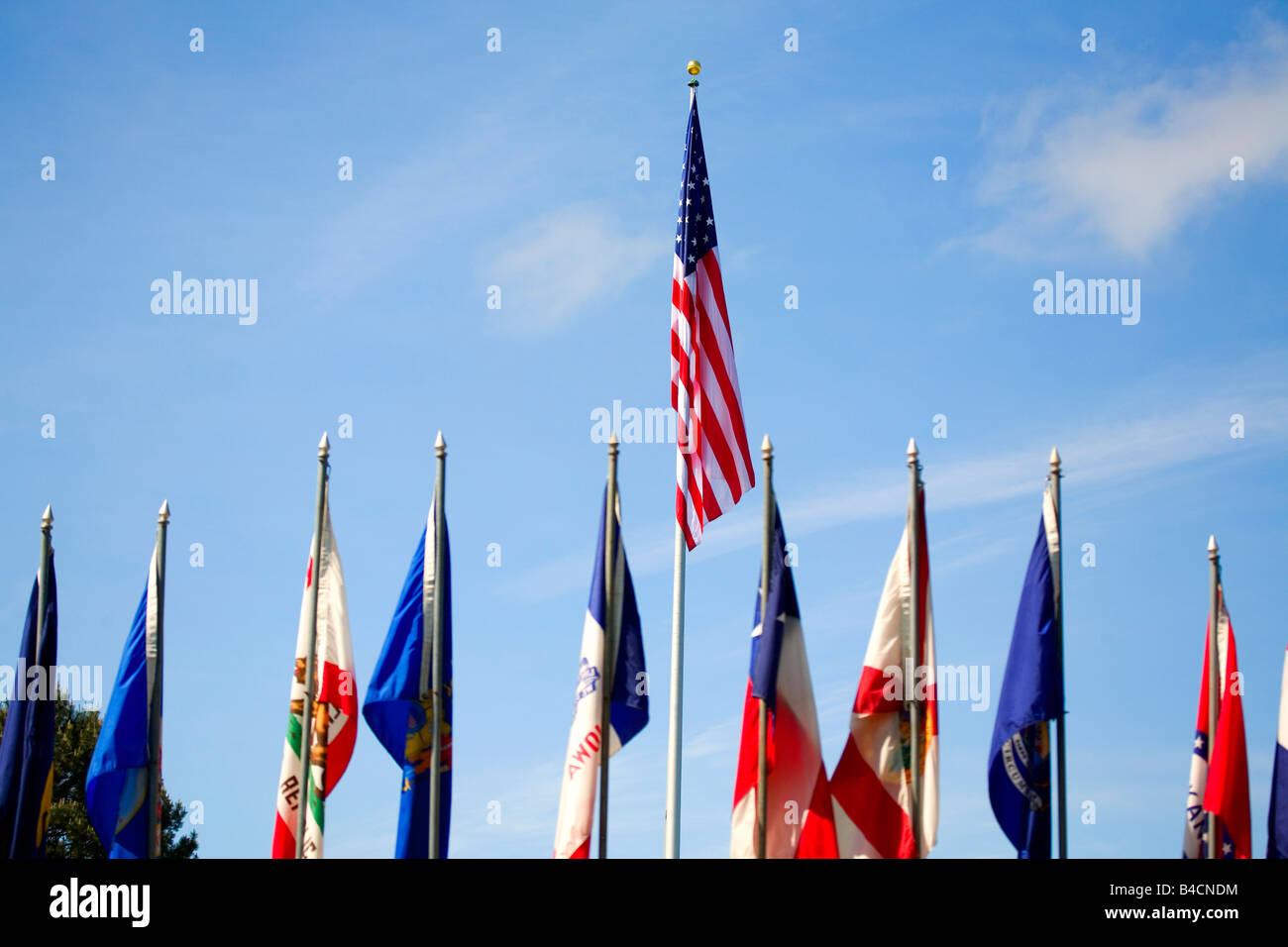 Bandierine americane, più flag Foto Stock