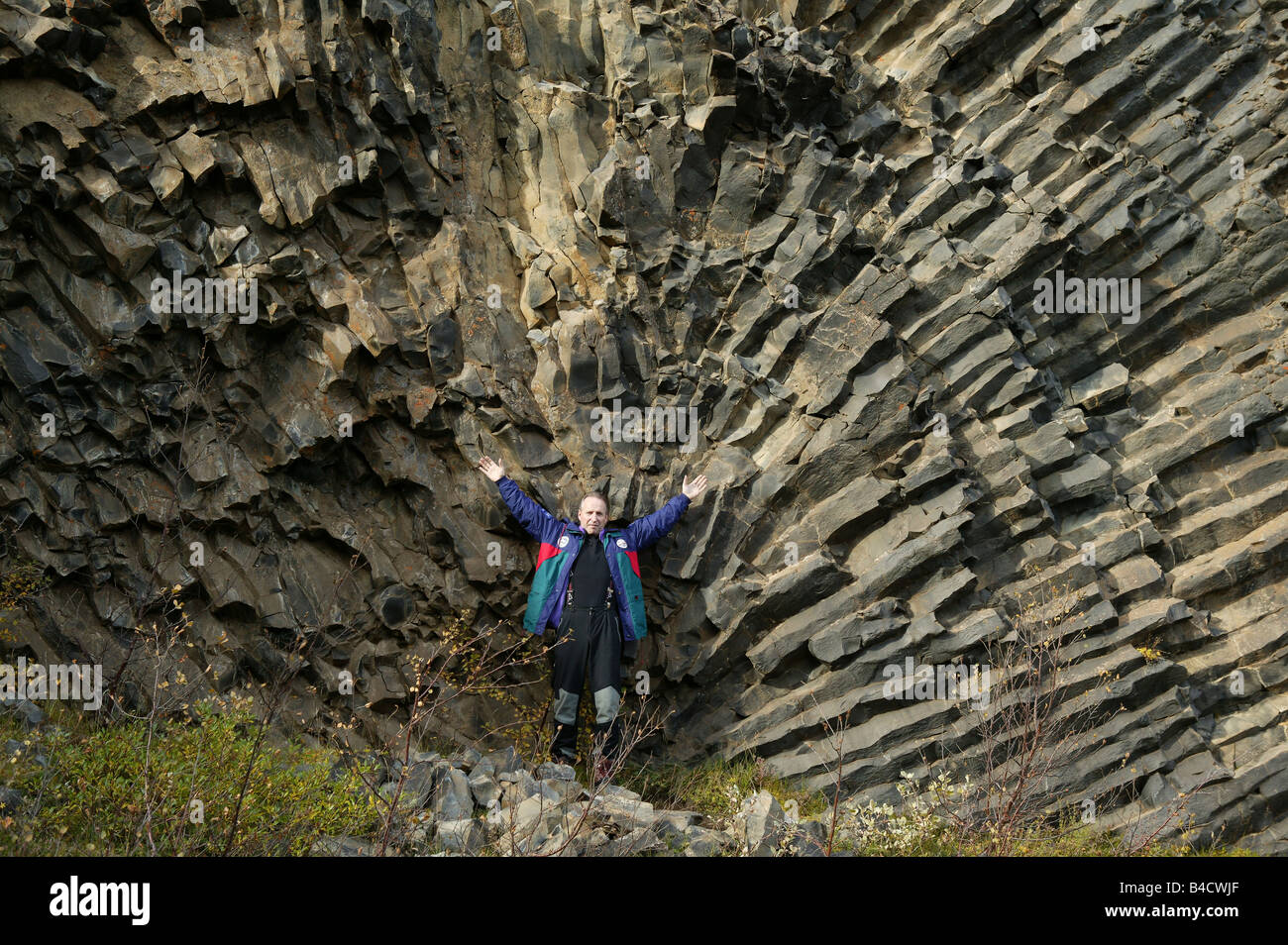Uomo di fronte a colonne di basalto, Jokulsargljufur Canyon, il nord dell'Islanda Foto Stock