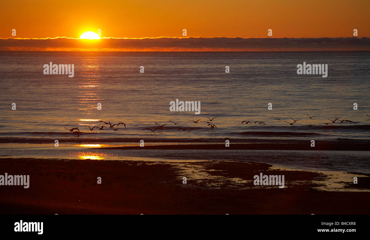 Il sole di mezzanotte impostazione, Skalavik, West fiordi, Islanda Foto Stock