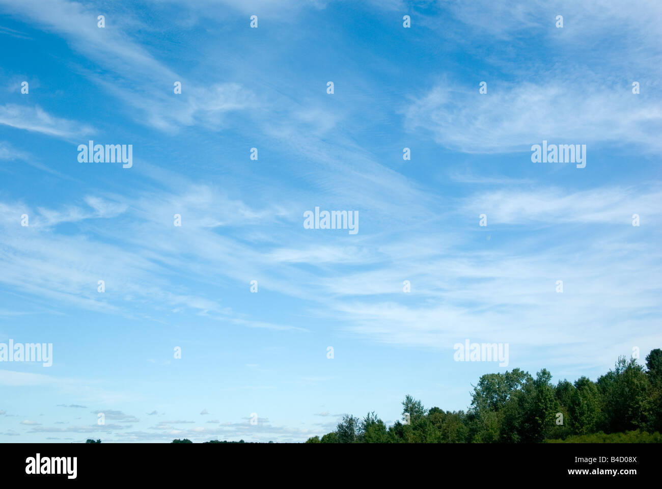 Ventoso cirrus nuvole sulla foresta Foto Stock