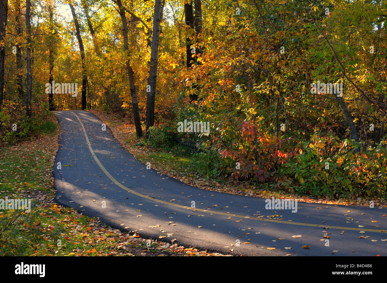 Sentiero escursionistico Foto Stock