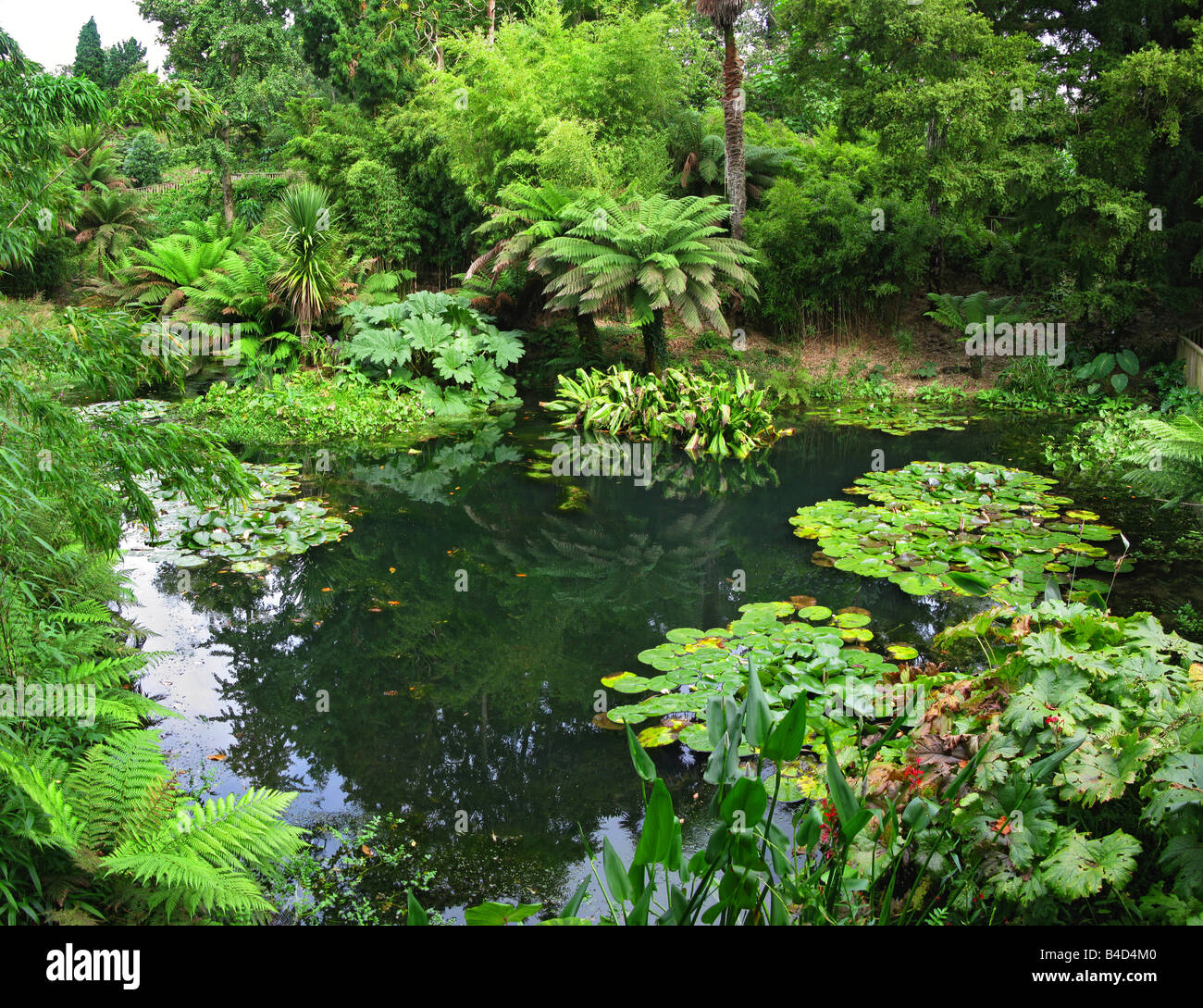 Lost Gardens of Heligan,pentewan,.St Austell,Cornwall,Inghilterra Foto Stock