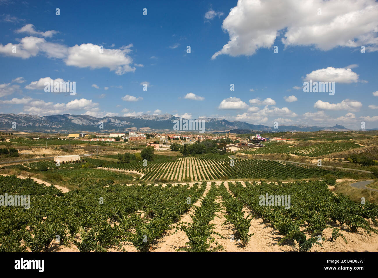 Vigneti attorno alla città di El Ciego, in La Rioja Alavesa regione della Spagna Foto Stock