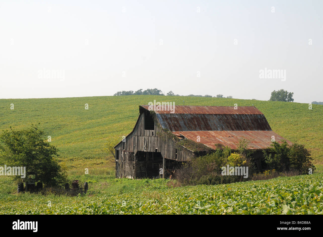Il vecchio fienile in legno su active farm. Rural Illinois Foto Stock