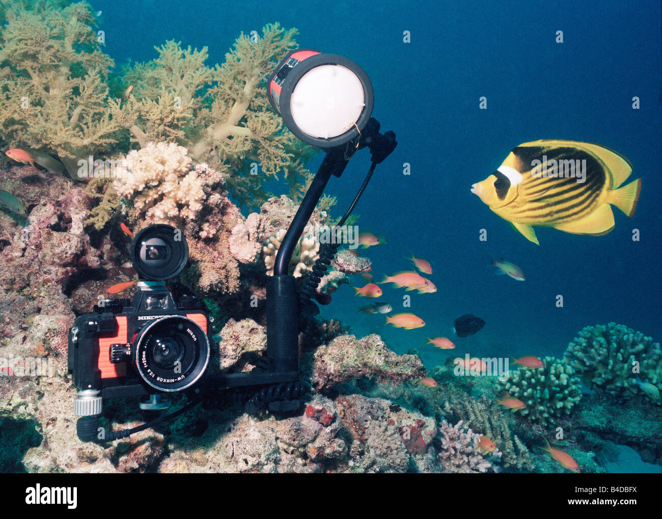 Una Nikonos V fotocamera subacquea " sulla posizione in Mar Rosso con obiettivo grandangolare da 20 mm e mirino plus SB103 strobe. Foto Stock