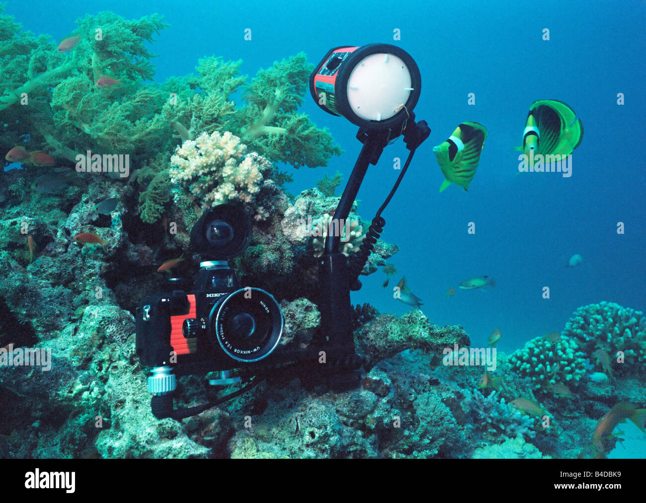 Una Nikonos V fotocamera subacquea " sulla posizione in Mar Rosso con obiettivo grandangolare da 20 mm e mirino plus SB103 strobe. Foto Stock