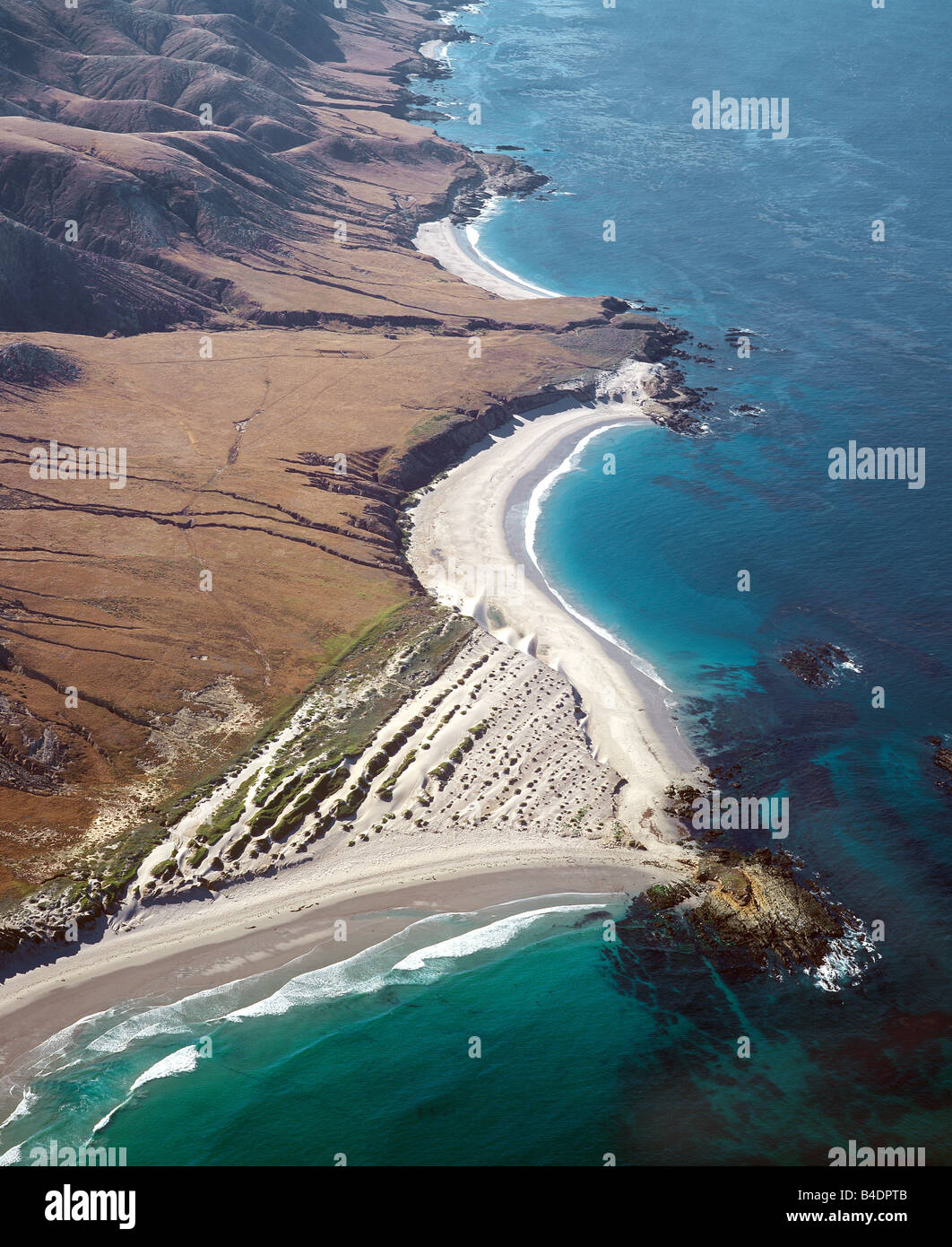 Vista aerea del punto di cluster, Isola di Santa Rosa, Channel Islands National Park, California, Stati Uniti d'America Foto Stock
