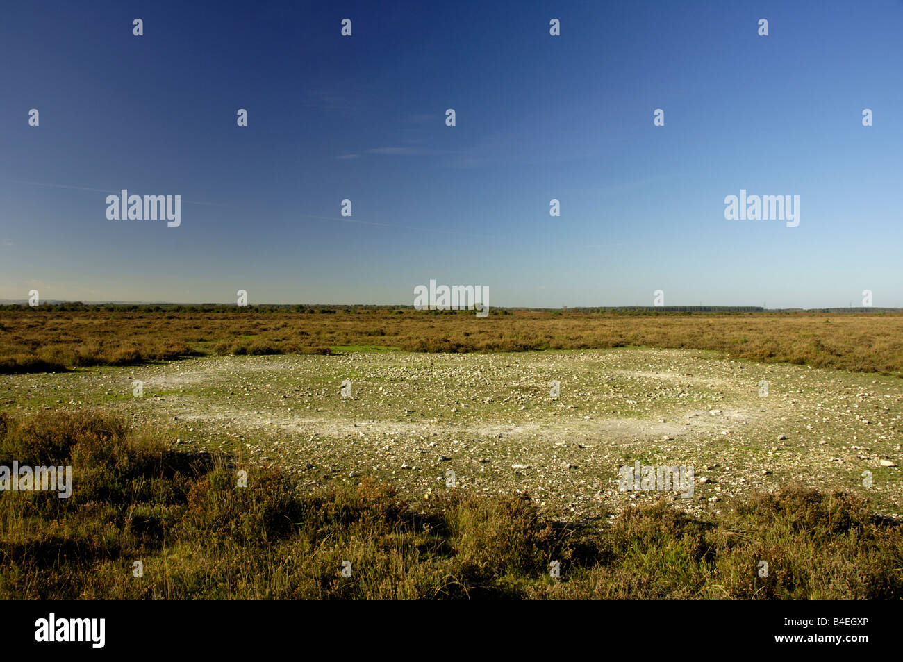 Resti di strutture di guerra sul bombardamento vecchio sito di test nella nuova foresta Foto Stock