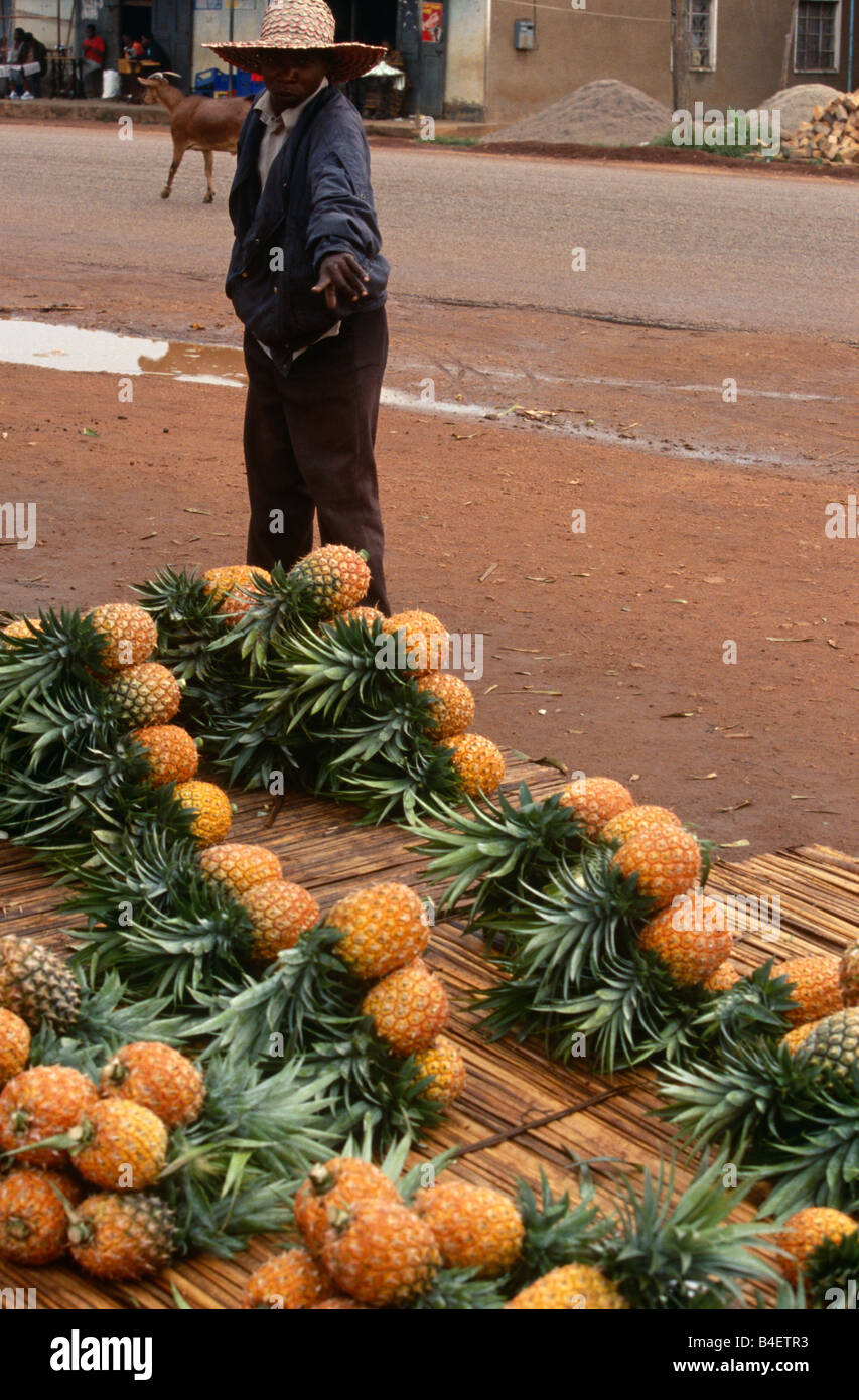 Un uomo indica a di ananassi in stallo stradale, Uganda, Africa Foto Stock