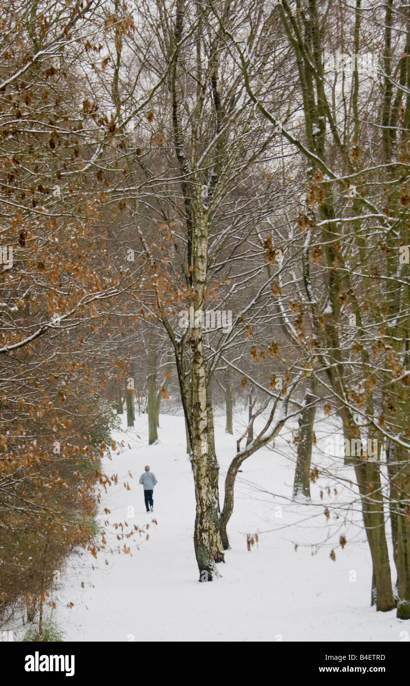 L'inverno nella foresta - inverno jogging Foto Stock