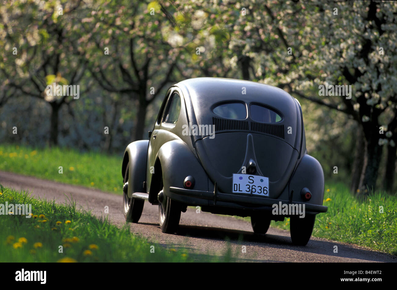 Auto, VW, Volkswagen maggiolino Typ 1 pretzel beetle, berlina, auto d'epoca, anno modello 1949-1953, 1940s, fourties, anni cinquanta, cinquanta, l Foto Stock