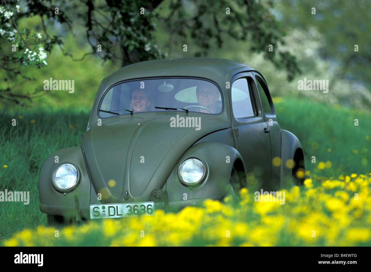 Auto, VW, Volkswagen maggiolino Typ 1 pretzel beetle, berlina, auto d'epoca, anno modello 1949-1953, 1940s, fourties, anni cinquanta, cinquanta, l Foto Stock