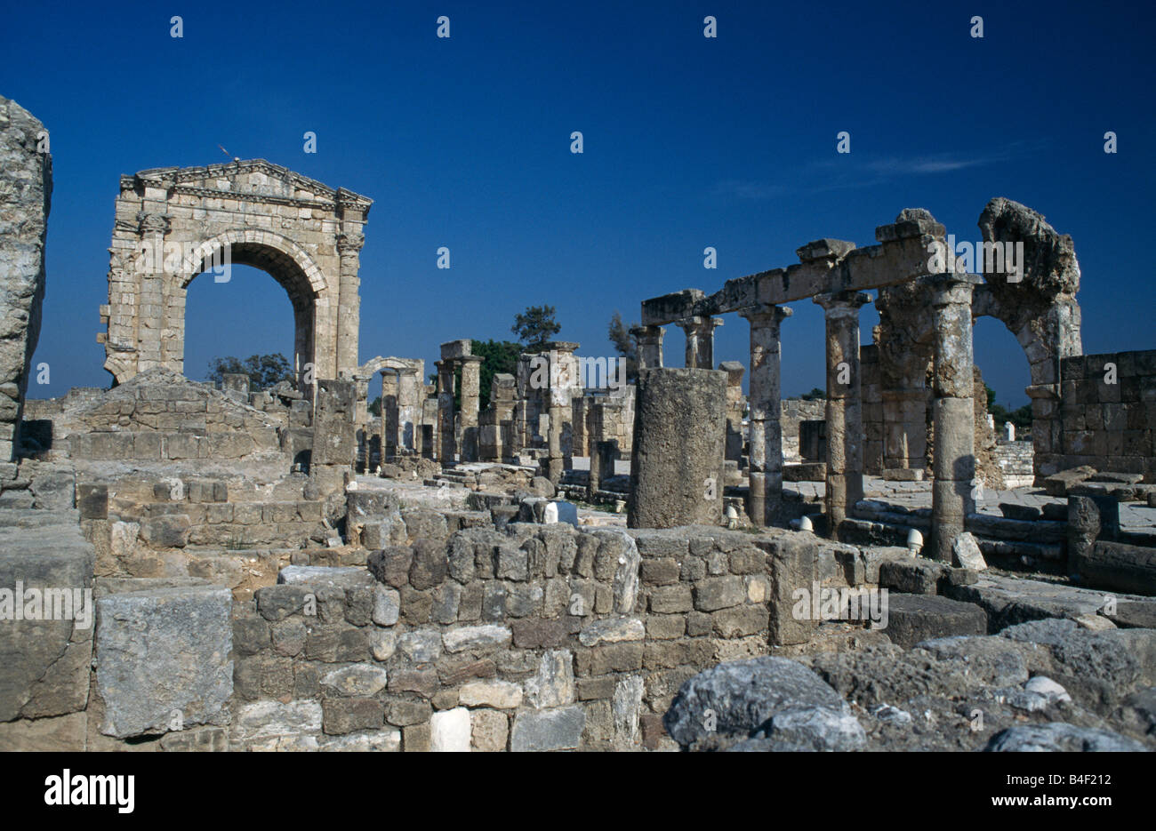 La necropoli vicino ippodromo, pneumatico, Libano Foto Stock