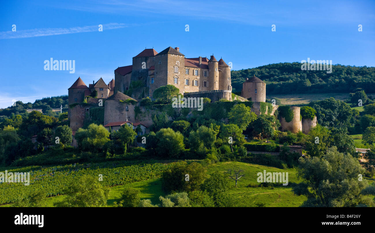 Il castello di Berze le Chatel Borgogna Francia Foto Stock