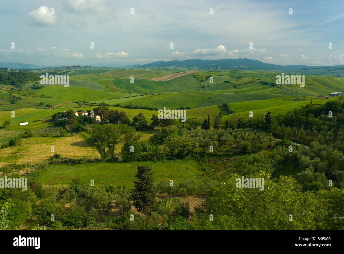 Paesaggio della Toscana, Italia, Europa Foto Stock