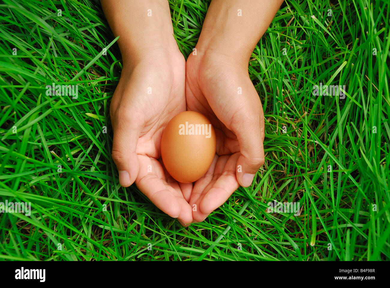 Le uova di uccello in mano con erba verde sullo sfondo Foto Stock