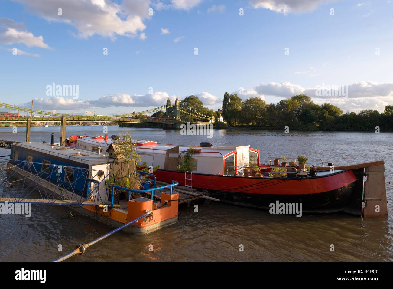 Case galleggianti ormeggiate dai sul Tamigi da Hammersmith Bridge London W6 REGNO UNITO Foto Stock